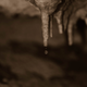 Hollows